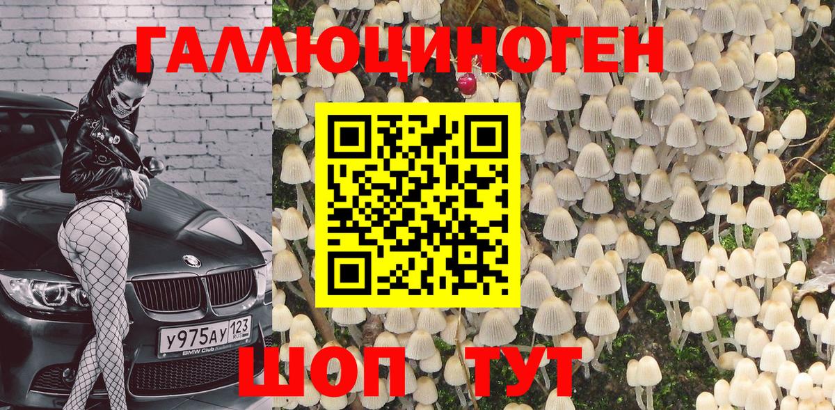 Галлюциногенные грибы GOLDEN TEACHER  Вход с VPN  Калининград  Псилоцибиновые грибы Psilocybine cubensis 