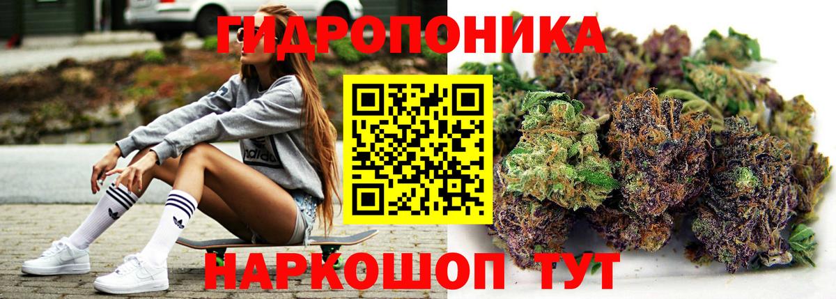 Бошки Шишки семена Калининград