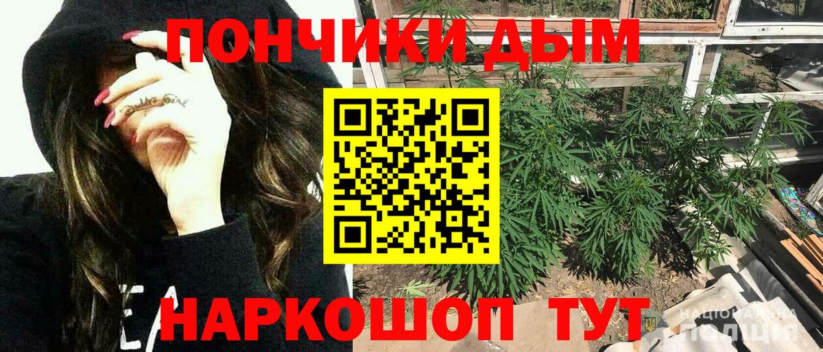 Бошки Шишки AK-47  Марихуана семена  Марихуана MAZAR  Канабис THC 21%  Калининград  Вход с VPN 